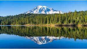 Maybe you would like to learn more about one of these? Top 10 Experiences At Mount Rainier National Park