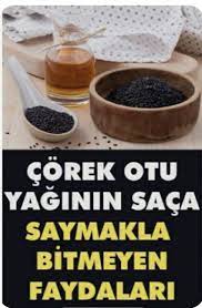 Corek Otu Yaginin Saca Cilde Beyne Faydalari Ve Zararlari Otlar Corek Otu Corek