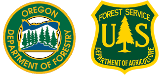 Daily and year to date fire summary: Advanced Wildfire Risk Explorer