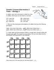 Digestion worksheet answer key,discovering geometry chapter 5 answers. Dihybrid Practice Name Keyla Garcia Genetic Crosses That Involve 2 Traits Biology 2 In Rabbits Grey Hair Is Dominant To White Hair Also In Course Hero