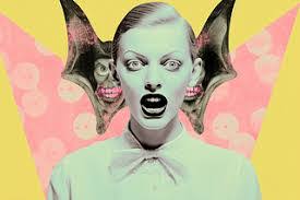 Taylor Steelman's Instagram, Twitter & Facebook