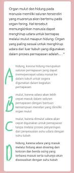 Lantas, berapa suhu tubuh normal pada manusia? Berapa Suhu Tubuh Normal Manusia Brainly