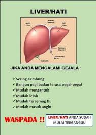 Morbiditas dan mortalitas penyakit hati di amerika serikat dan tempat lain di dunia. Penyakit Hati Liver Rumah Sehat Totok Punggung Makassar Facebook