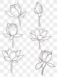 Download 14,024 lotus flower drawing stock illustrations, vectors & clipart for free or amazingly low rates! Hand Drawn Simple Line Flower Lotus Lotus Clipart Hand Painted Flowers Jane Flowers Png Transparent Clipart Image And Psd File For Free Download Flower Line Drawings Line Flower Hand Painted Flowers