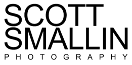 Commercial resort, lifestyle, fitness and swimwear photographer based in myrtle beach, sc. About The Site Grand Strand Humane Society