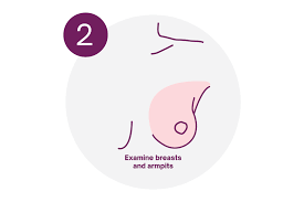 How To Do A Self-Breast Exam | Check For Breast Lumps | Natural Cycles
