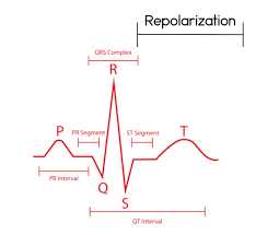 Image result for Early Repolarization