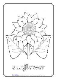 Check out all the brand read more Living Things Printables For Primary School Sparklebox