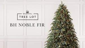 We did not find results for: Bh Noble Fir Tree Lot Youtube