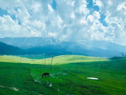 Gulmarg Meadow Off-Season