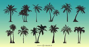 We did not find results for: Palm Tree Vector Graphics To Download