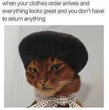 The 11 Funniest Instagram Meme Accounts That Will Keep You Scrolling For Hours Funny Pictures Animal Memes Funny Fashion