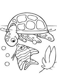 Free Easy To Print Fish Coloring Pages In 2020 Turtle Coloring Pages Animal Coloring Pages Fish Coloring Page