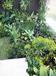 Pin On Landscaping
