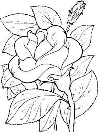 Hermosos Dibujos Para Pintar Buscar Con Google Pintar En Tela Dibujos De Rosas Patrones De Bordado Dibujos y plantillas para imprimir: pintar en tela dibujos de rosas