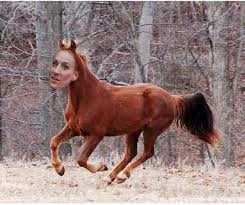 Maybe you would like to learn more about one of these? Image 127509 Sarah Jessica Parker Looks Like A Horse Know Your Meme