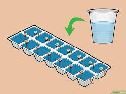 4 Ways To Make A Homemade Battery Battery Homemade Conductive Materials