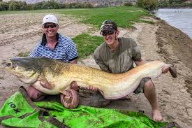 The common answer is the larger the fish the. River Ebro Catfish Fishing Holidays Sportquest Holidays