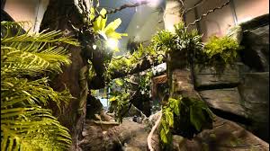 We did not find results for: Motylarnia Zoo Zamosc Ii Youtube