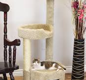 Solid Wood Cat House – Premium Handcrafted Cat Furniture