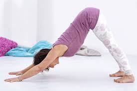 Neerwaartse Hond Downward Facing Dog Yogahoudingen Yoga Online