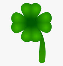 Check spelling or type a new query. St Patricks Day Flower Hd Png Download Kindpng