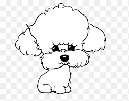 Check spelling or type a new query. Toy Poodle Png Images Pngegg