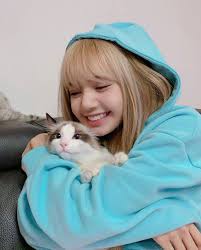 Lisa X Her Cats Content 🐱 (@lisawithhercats)