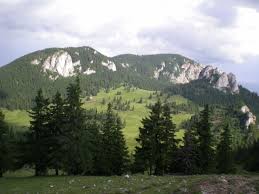 Parcul NaÈ›ional Cheile Bicazului HÄƒÈ™maÈ™ Wikipedia