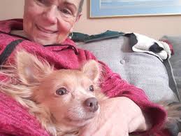 What does an apple head rabbit look like?