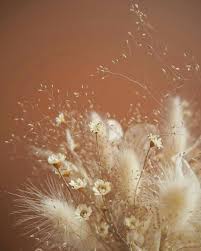 Zhazhda Lyuboznatelnosti Utolite Pozhalujsta In 2020 Dried Flowers Dried Flower Bouquet Flowers Photography
