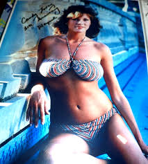 Playboy playmate candy loving - www.openvalidation.io