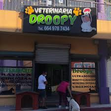 Veterinaria Droopy