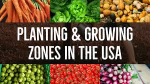 Alabama planting zones range from 7a to 9a. Planting Growing Zones In The Usa 2019 Guide Howzoo