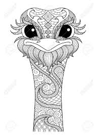 Hand Drawn Ostrich Style For Coloring Page T Shirt Design Effect Animal Coloring Pages Mandala Coloring Pages Zentangle Drawings