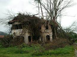 Explore rumah lama terbiar yang sangat cantik rekaan ( adakah ini tinggalan zaman kolonial. Cerita Seram Misteri Rumah Banglo Lama Di Upsi Duitcoin