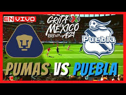 This general info table below illustrates best the game details about the upcoming clash. Swnmsaklh90tom