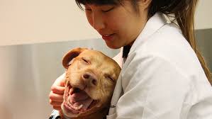 Gentle Doctor Benefit(Crowdfunding)