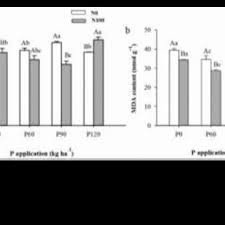 When it comes to fertilizing your lawn, timing is everything! Pdf Influence Of Nitrogen And Phosphorus Fertilization On Quality And Germination Potential Of Smooth Bromegrass Seed