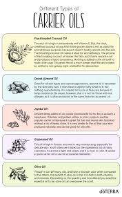 Different Types Of Carrier Oils Dōterra Essential Oils Essential Oil Carrier Oils Essential Oils Aromatherapy Order Essential Oils