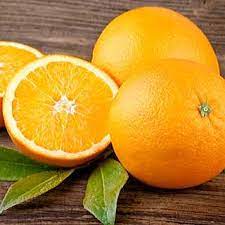 Orange trees are praised for their sweet fruits, and they work as an ornamental plant as well! Trovita Orange Tree At Jackson Perkins