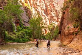 Zion National Park Travel Guide Usa Before Travel Before Travel