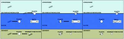 The Complex Mixture, Fate and Toxicity of Chemicals Associated with Plastic  Debris in the Marine Environment