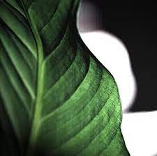 How do you make different types of rhythm in art? Repetition Pattern And Rhythm Interaction Design Foundation Ixdf