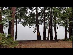 Photo Of Seal Rock Campground By Rich M Seal rock campground is one of the few national forest campgrounds located on salt water with harvestable oysters for public use. the dyrt
