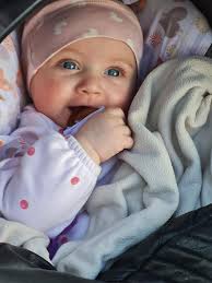 the lorello fan club