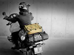 dodから人気のキャンプツーリング向けクーラーバッグに トレンドカラーの新色発売 キャンプツーリング ツーリング キャンプ