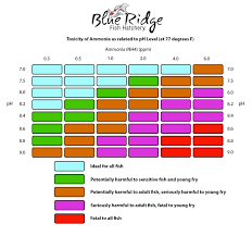 Ph And Ammonia What You Might Not Know Blue Ridge Fish