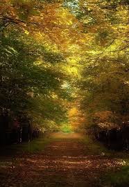 Aesthetically Pleasing Michigan Art Beautiful Nature Nature