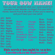Cow Names Cow Names How To Show Love Animal Science